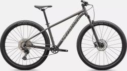 SPECIALIZED Rockhopper Expert 24 -  29" Satin Smoke/ Gloss Chrome