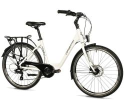 LEADER FOX DOMESTA biela